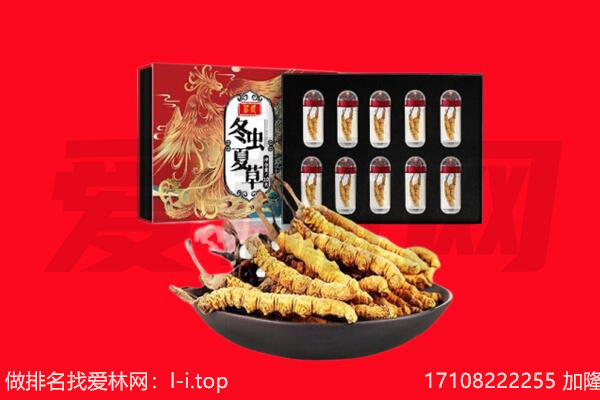 河源龙川县回收虫草.jpg